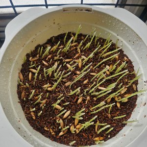 베스트 후기 이미지