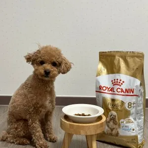 베스트 후기 이미지