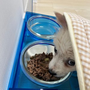베스트 후기 이미지