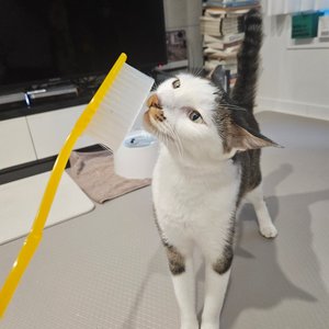 베스트 후기 이미지