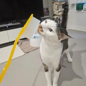 베스트 후기 이미지