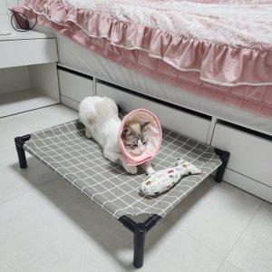 베스트 후기 이미지