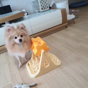 베스트 후기 이미지