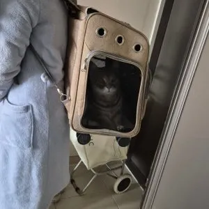 베스트 후기 이미지