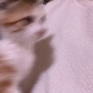 베스트 후기 이미지