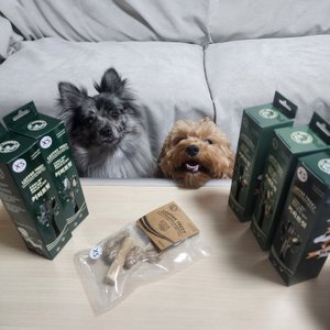 베스트 후기 이미지