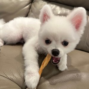 베스트 후기 이미지