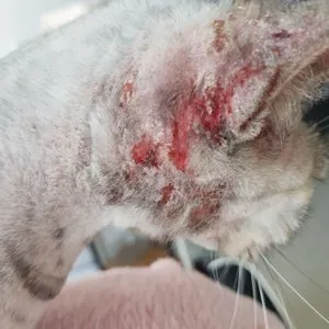 베스트 후기 이미지