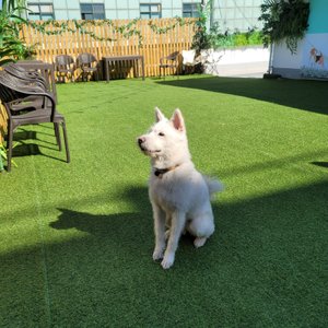 베스트 후기 이미지