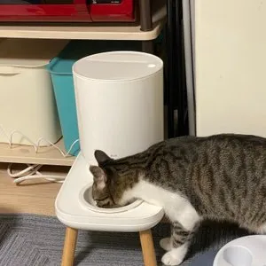 베스트 후기 이미지