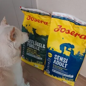 베스트 후기 이미지