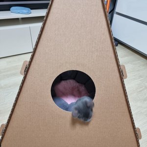 베스트 후기 이미지