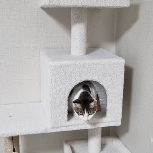 베스트 후기 이미지