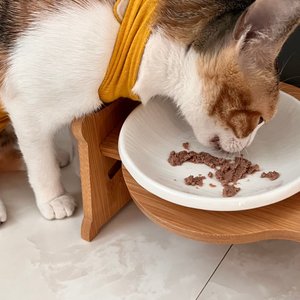 베스트 후기 이미지