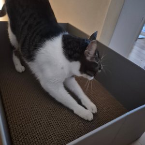 베스트 후기 이미지