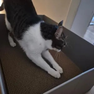 베스트 후기 이미지