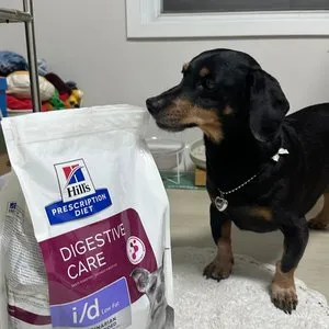 베스트 후기 이미지