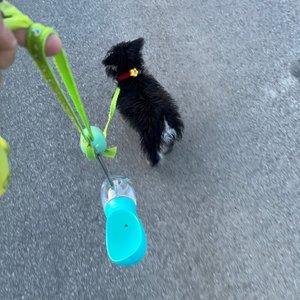 베스트 후기 이미지