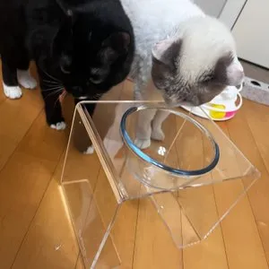 베스트 후기 이미지