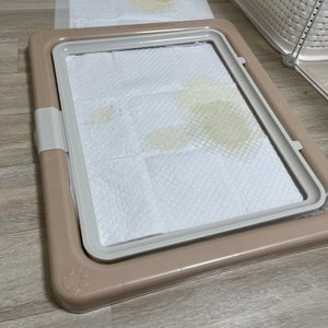 베스트 후기 이미지