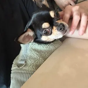 베스트 후기 이미지