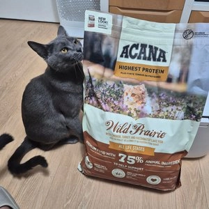 아카나 캣 와일드 프레이리 1.8kg 베스트 후기 이미지