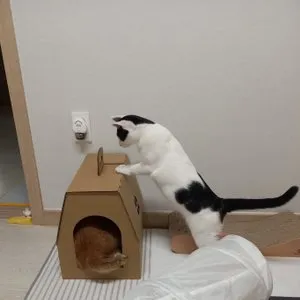 베스트 후기 이미지