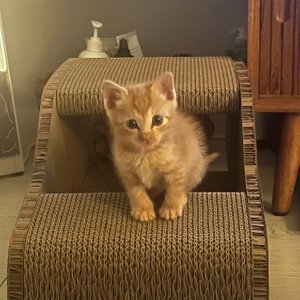 베스트 후기 이미지