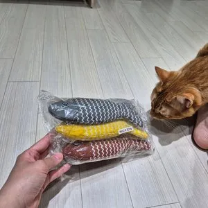 베스트 후기 이미지