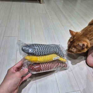 [무료배송] 포우타운 고양이 캣닢 인형 꼬불 물고기 장난감 3종 세트 베스트 후기 이미지