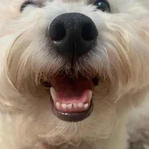 베스트 후기 이미지