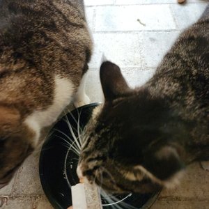 베스트 후기 이미지