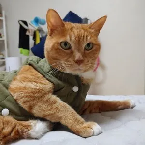 베스트 후기 이미지