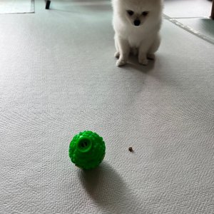 베스트 후기 이미지