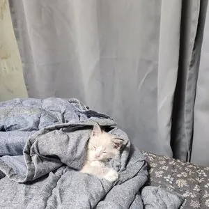 베스트 후기 이미지