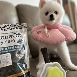 프로덴 독 플라그오프 덴탈케어본 미니 블루베리&혼합야채 340g 베스트 후기 이미지