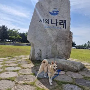 베스트 후기 이미지