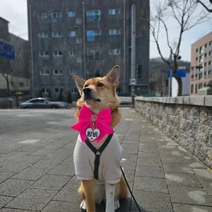 베스트 후기 이미지