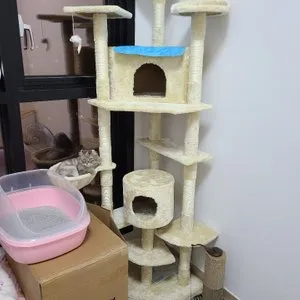 베스트 후기 이미지