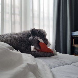 베스트 후기 이미지
