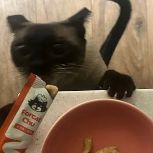 베스트 후기 이미지