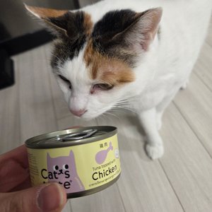 베스트 후기 이미지