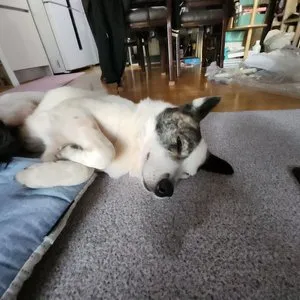 베스트 후기 이미지