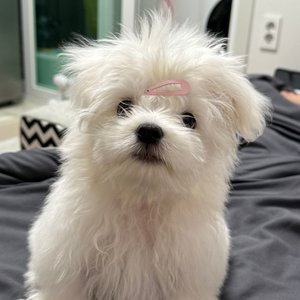 베스트 후기 이미지