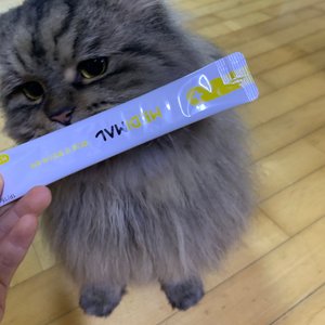 베스트 후기 이미지