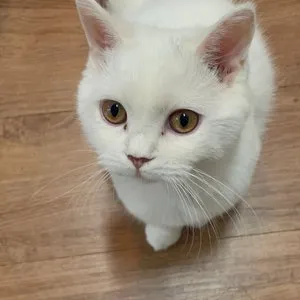 베스트 후기 이미지