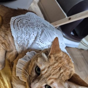 베스트 후기 이미지