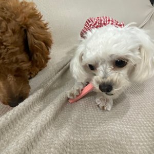 베스트 후기 이미지
