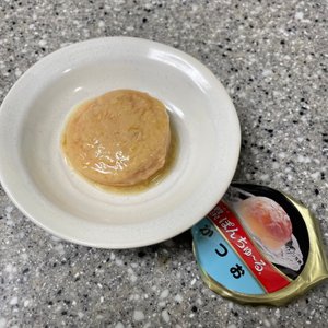 베스트 후기 이미지