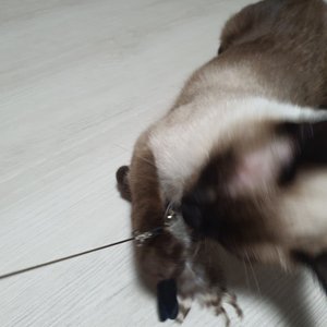 베스트 후기 이미지